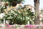 Cote d'Azur und Riviera 2007