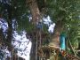 Kletterpark