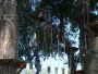 Kletterpark