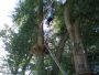 Kletterpark
